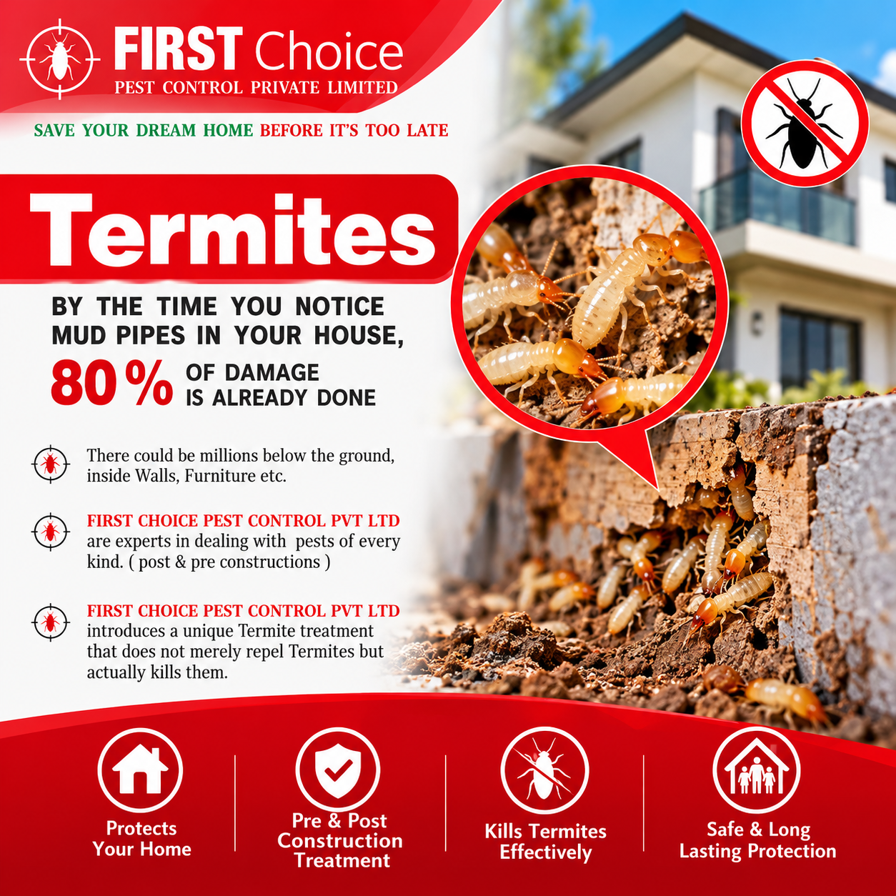 Termite Control