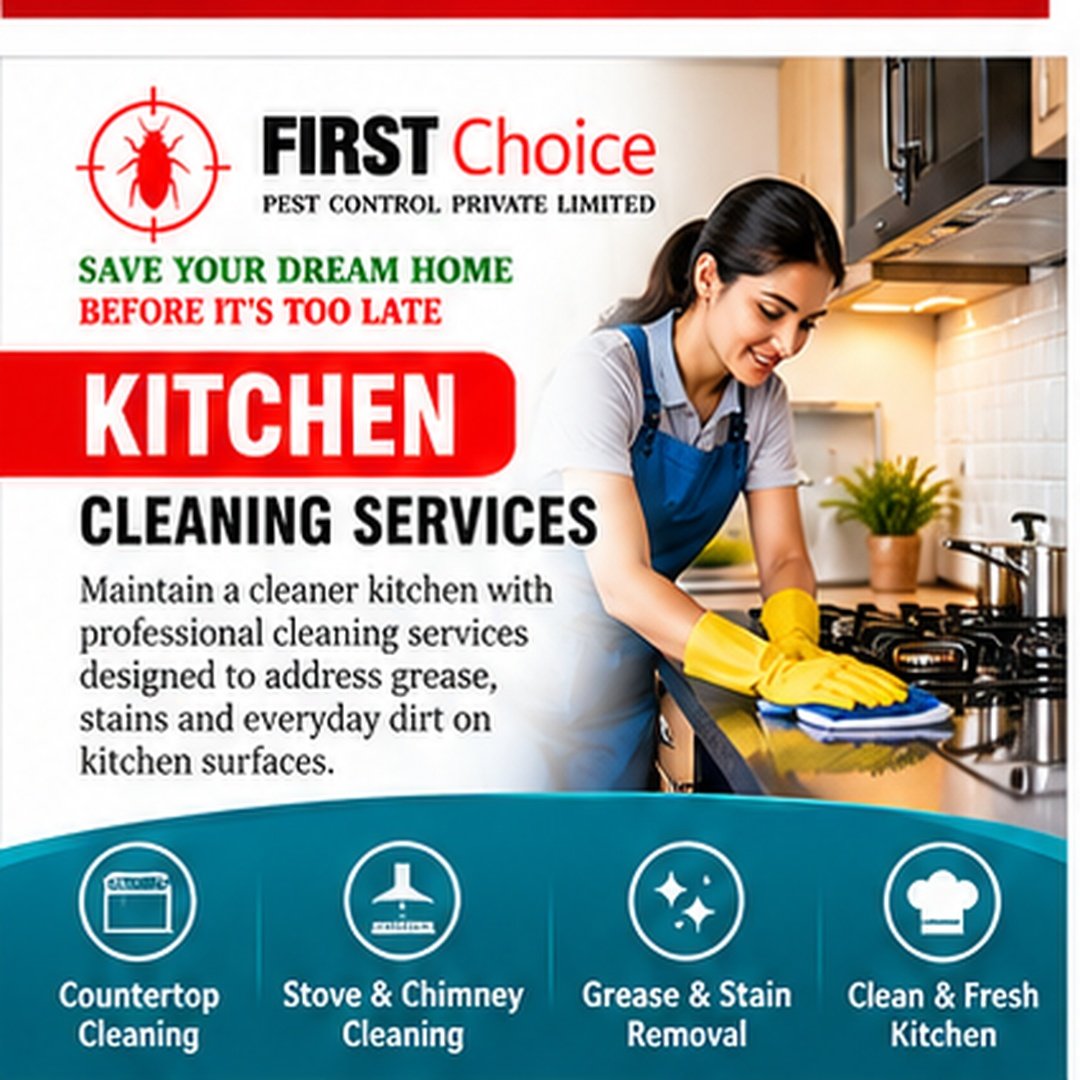 Kitchen Cleaning Services