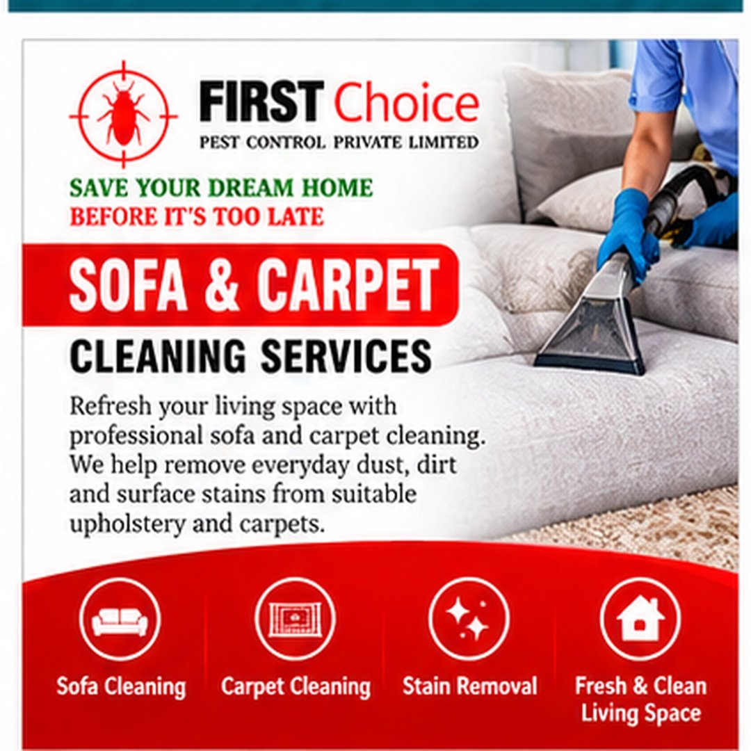 Sofa & Carpet Cleaning